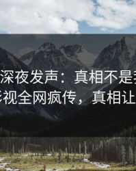 当事人深夜发声：真相不是我干的！人人影视全网疯传，真相让人瞠目