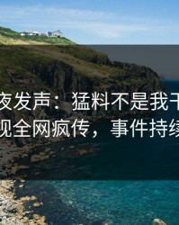 明星深夜发声：猛料不是我干的！人人影视全网疯传，事件持续发酵