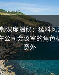 樱花视频深度揭秘：猛料风波背后，圈内人在公司会议室的角色极其令人意外