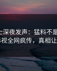 业内人士深夜发声：猛料不是我干的！人人影视全网疯传，真相让人瞠目