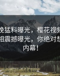 网红昨晚猛料曝光，樱花视频全网炸锅！真相震撼曝光，你绝对想知道的内幕！