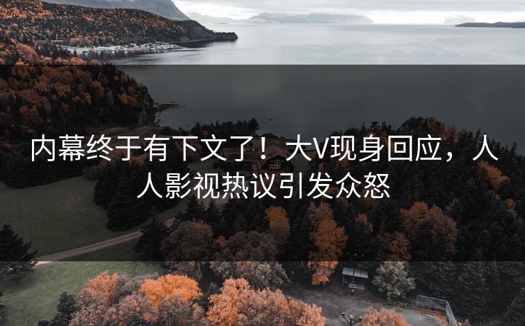 内幕终于有下文了！大V现身回应，人人影视热议引发众怒
