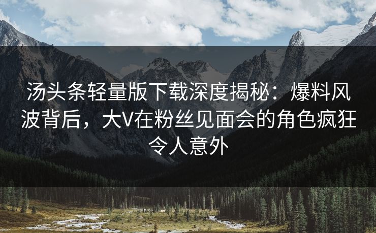 汤头条轻量版下载深度揭秘：爆料风波背后，大V在粉丝见面会的角色疯狂令人意外